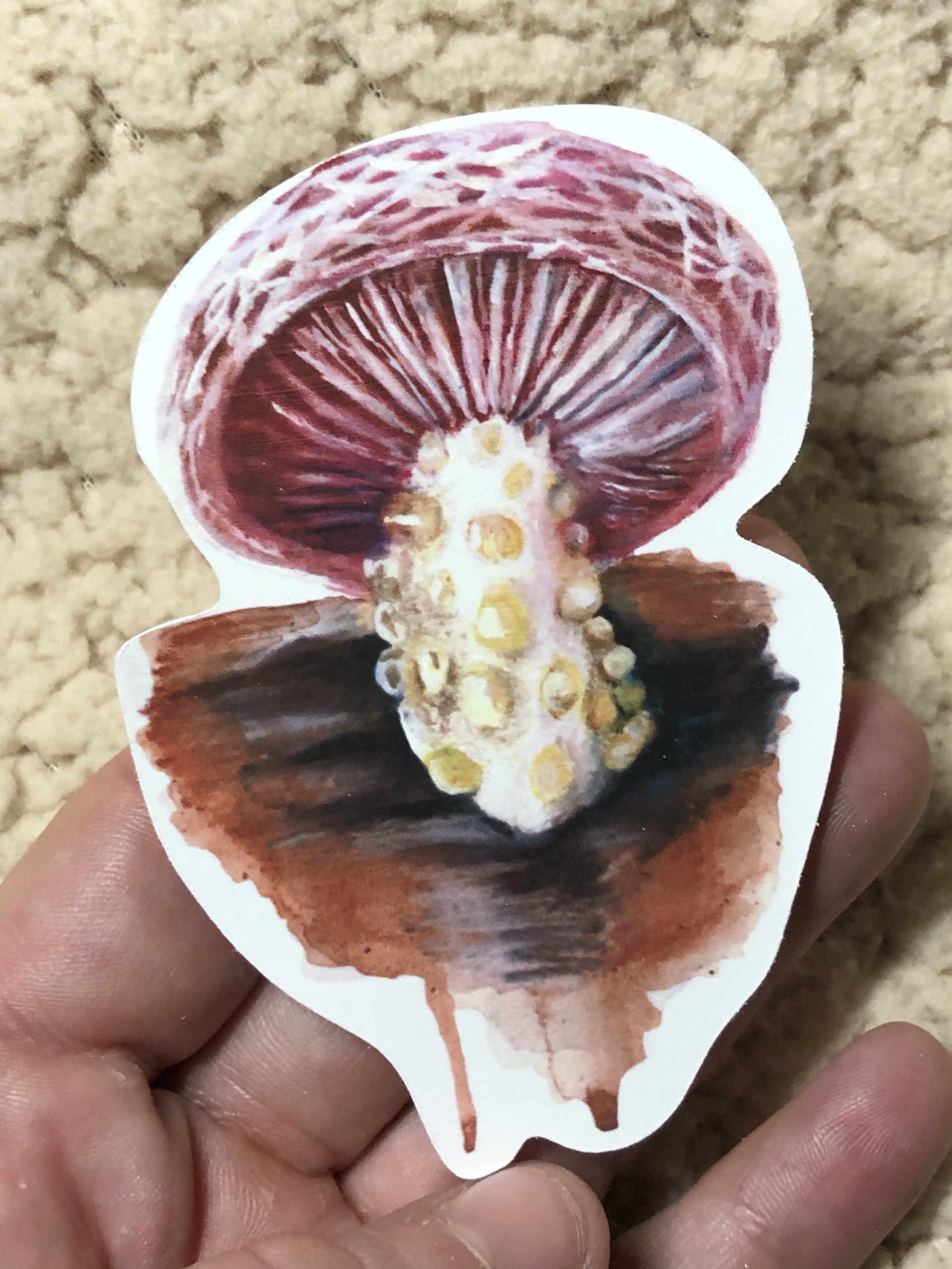 Wrinkled peach sticker