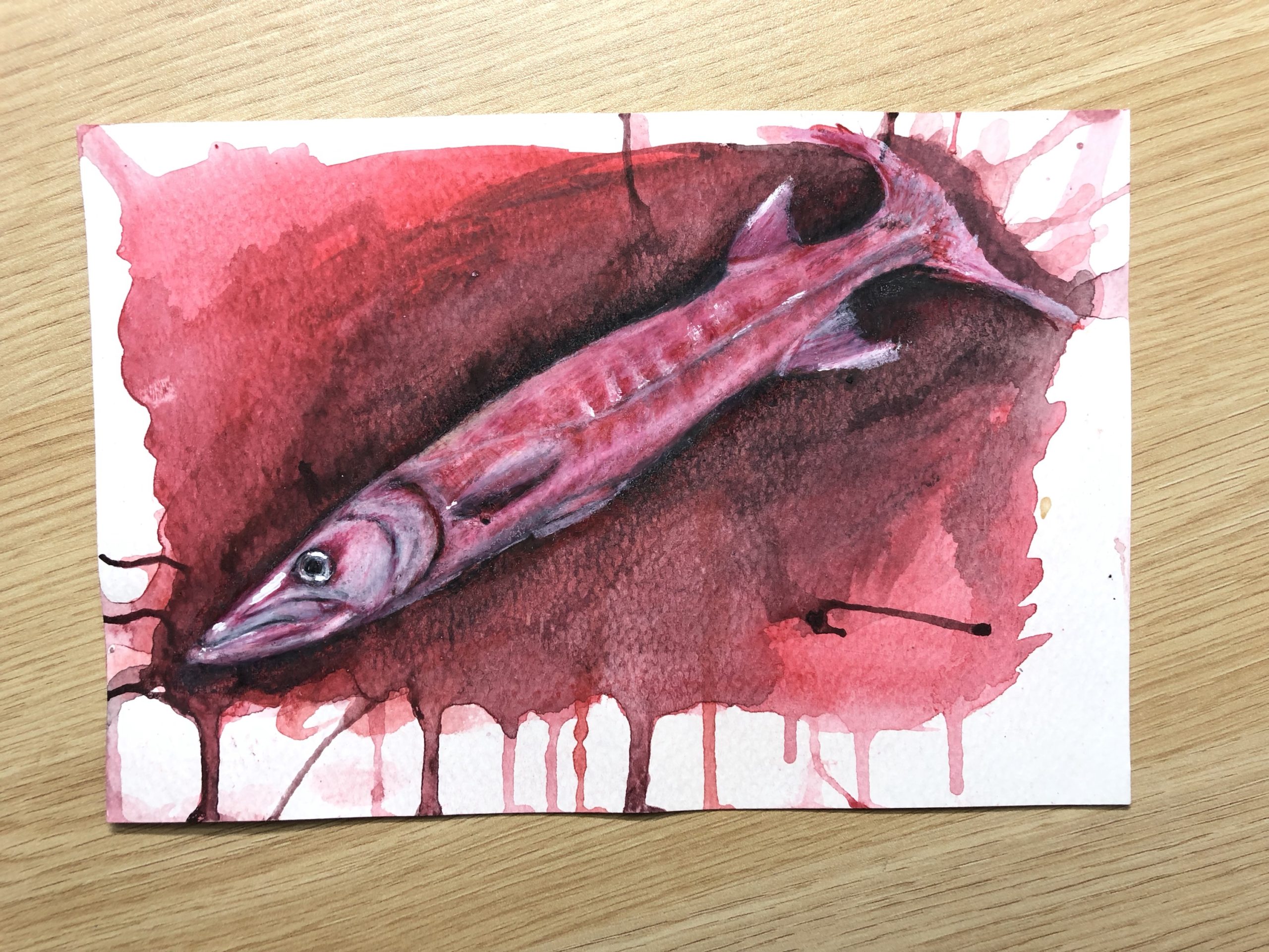 Barracuda 6x9