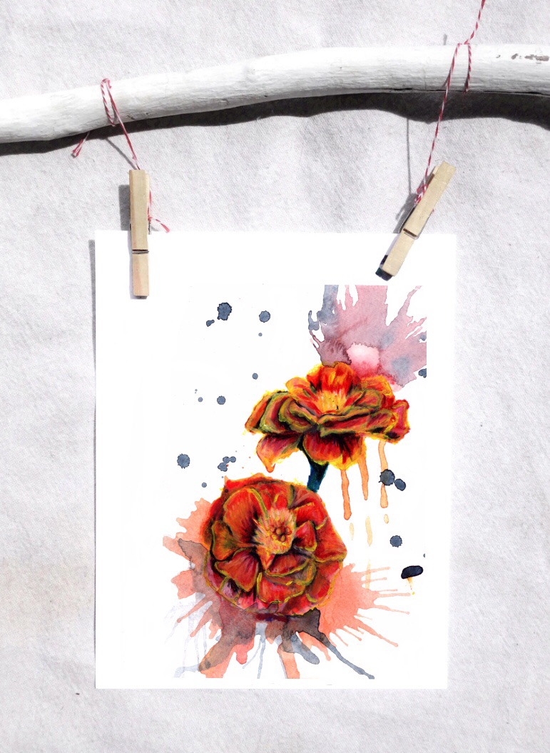 French marigolds