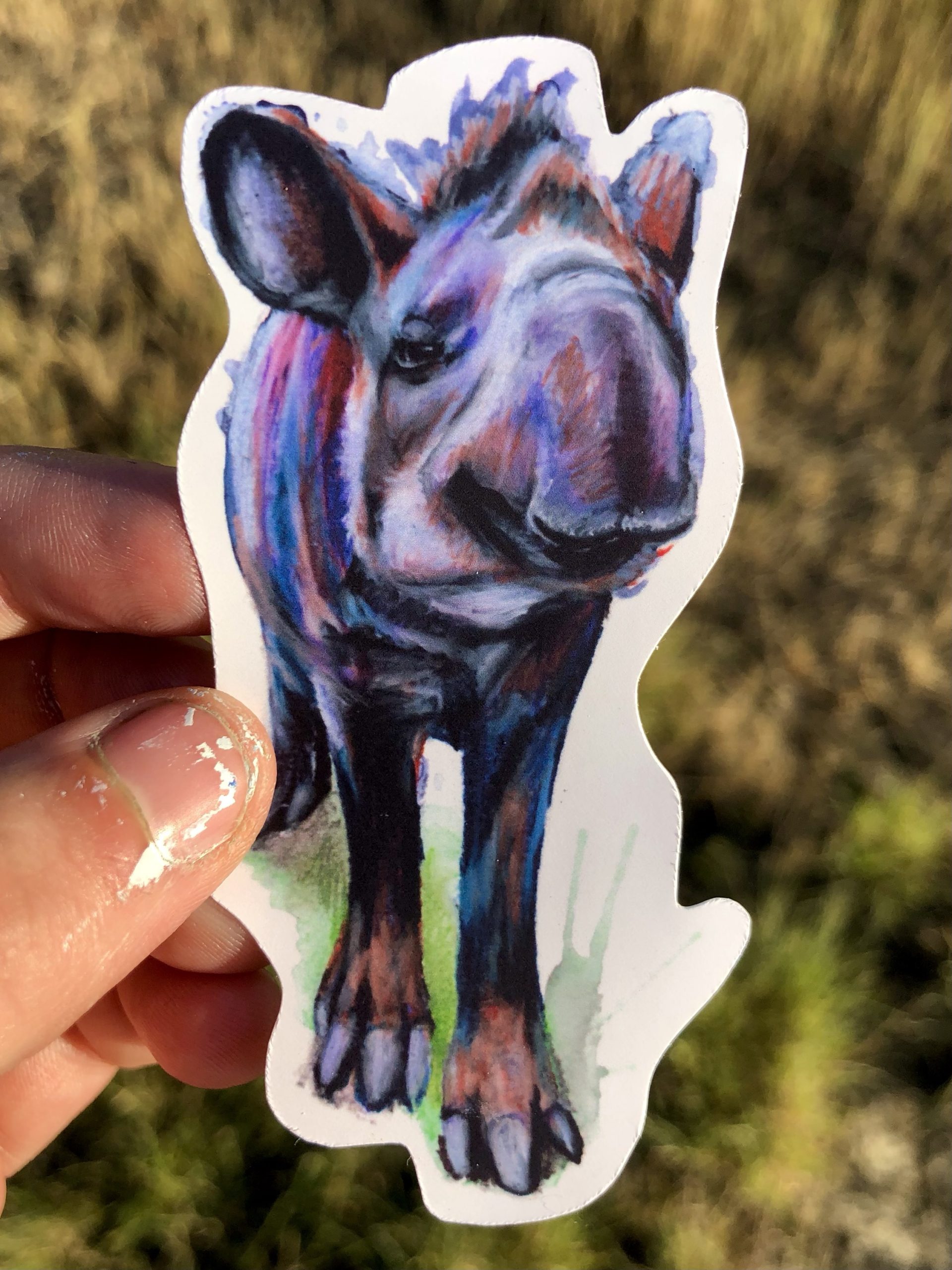 Brazilian tapir sticker