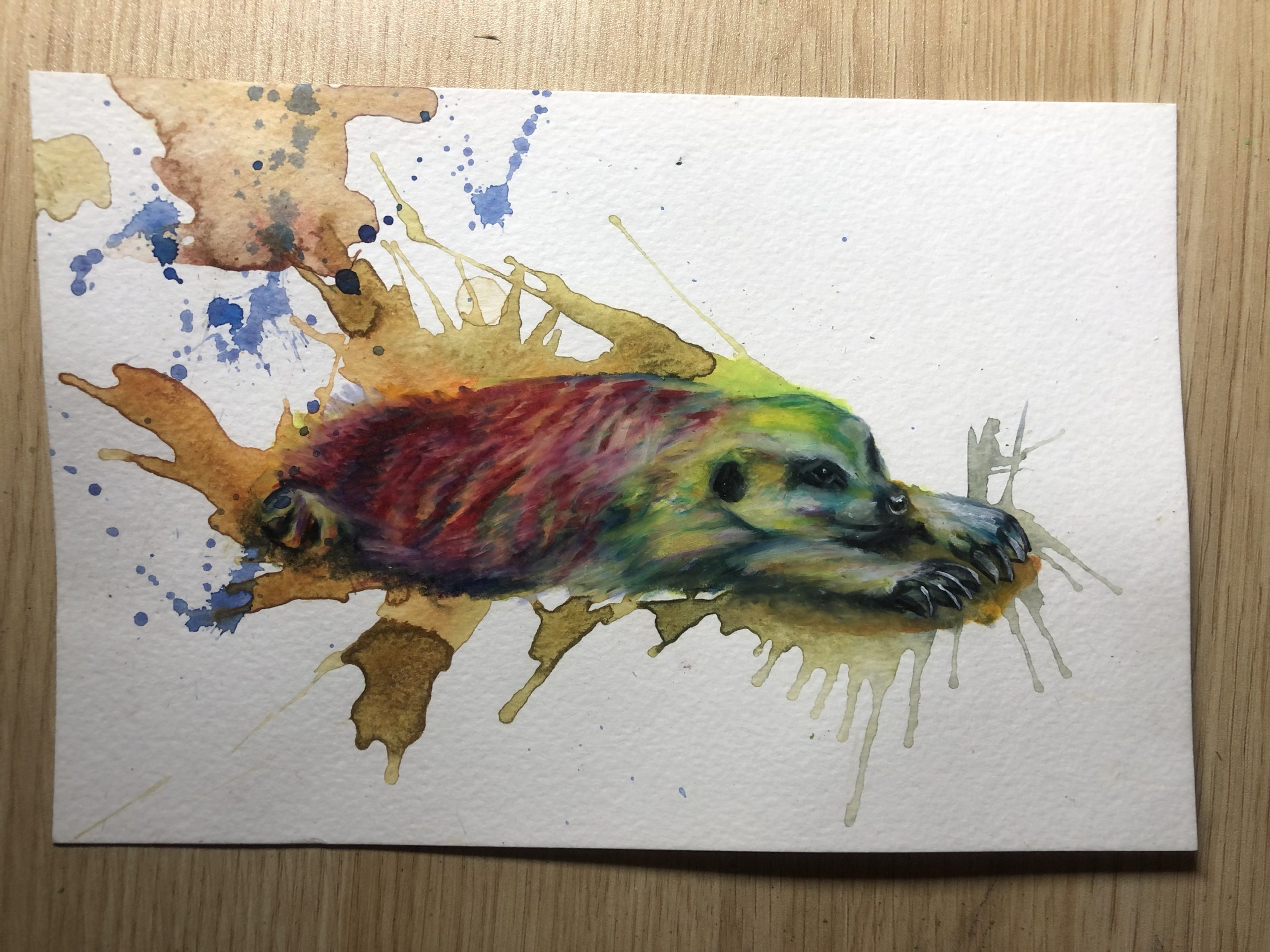 Meerkat 6x9