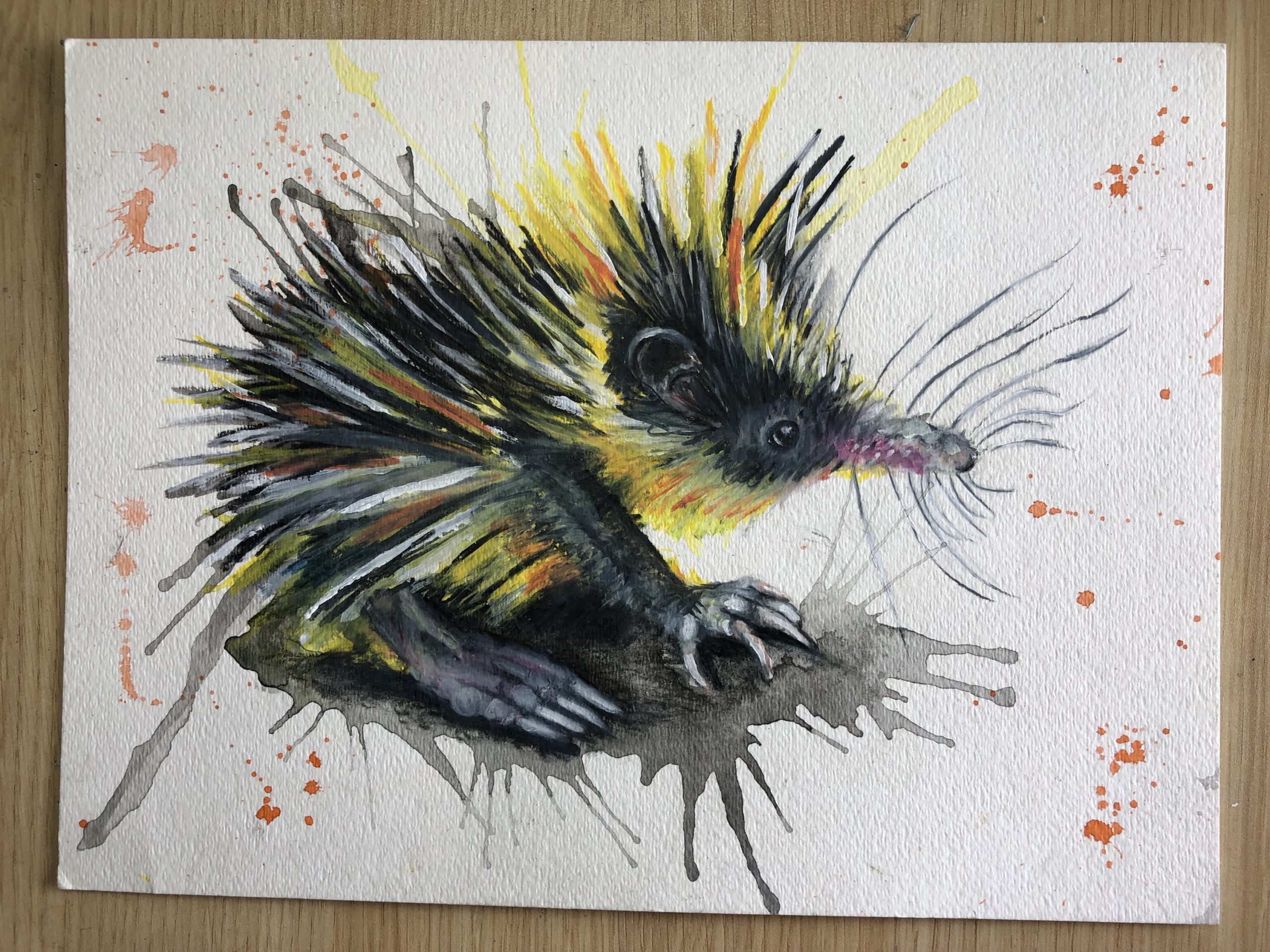 Lowland streaked tenrec 9x12