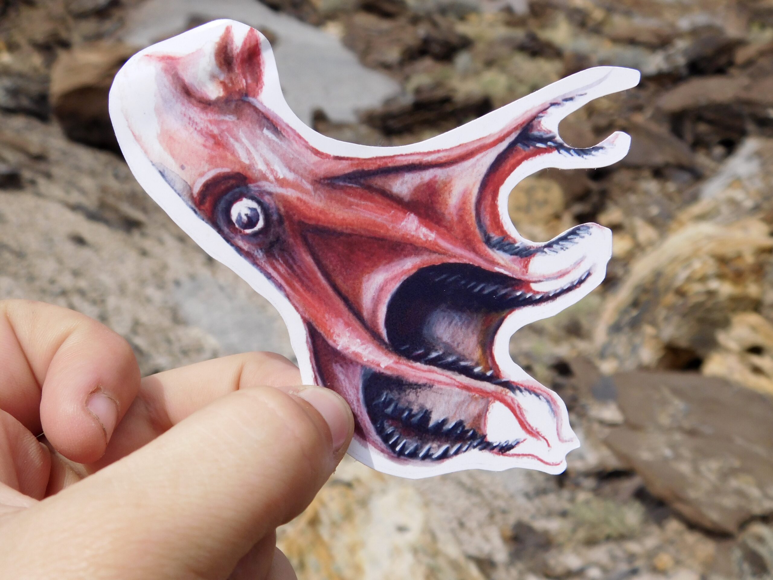 Vampire squid from hell sticker