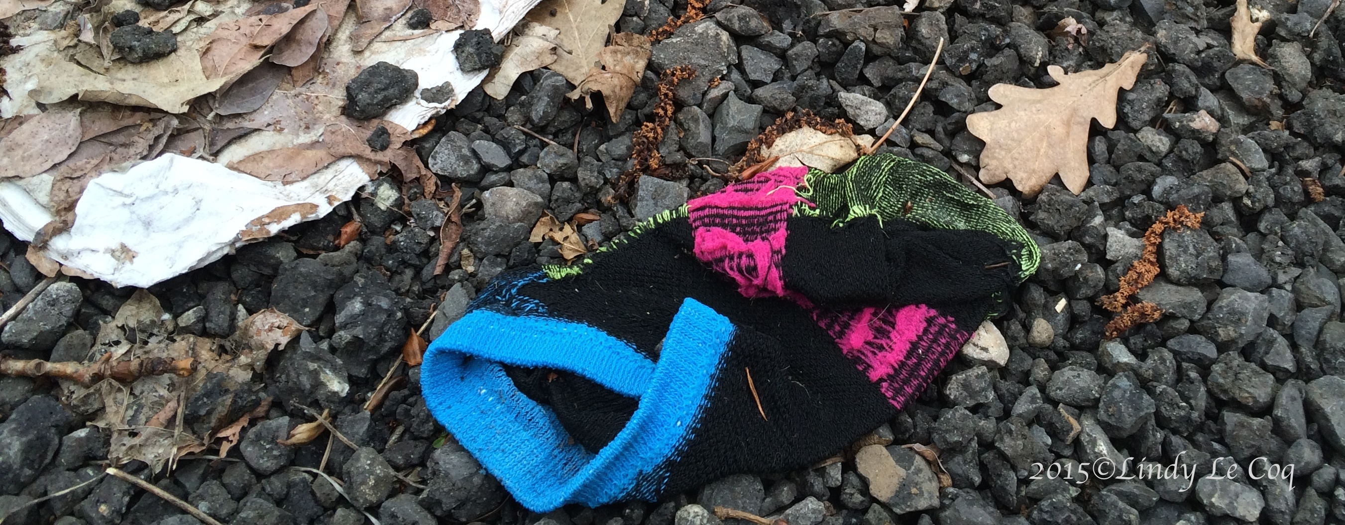 IMG_1857 - Version 2