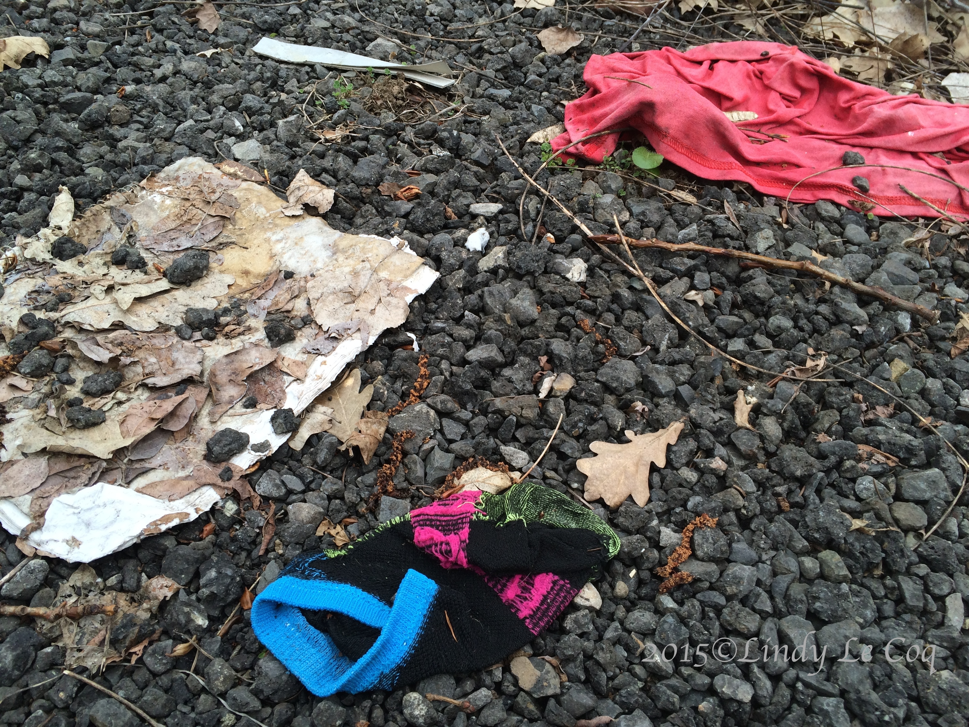 IMG_1857 - Version 3