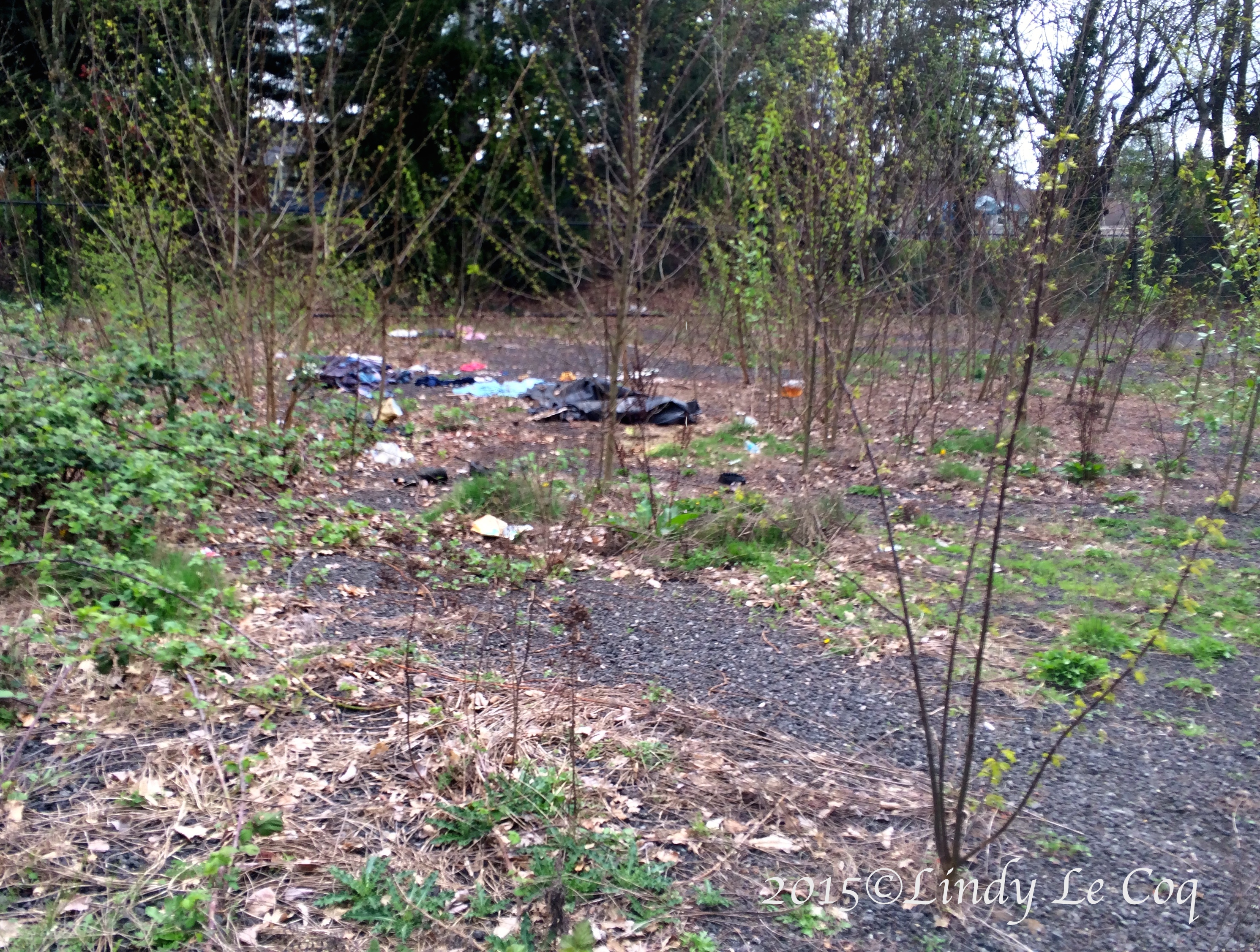 IMG_1860 - Version 2