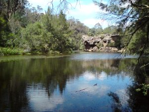 The River