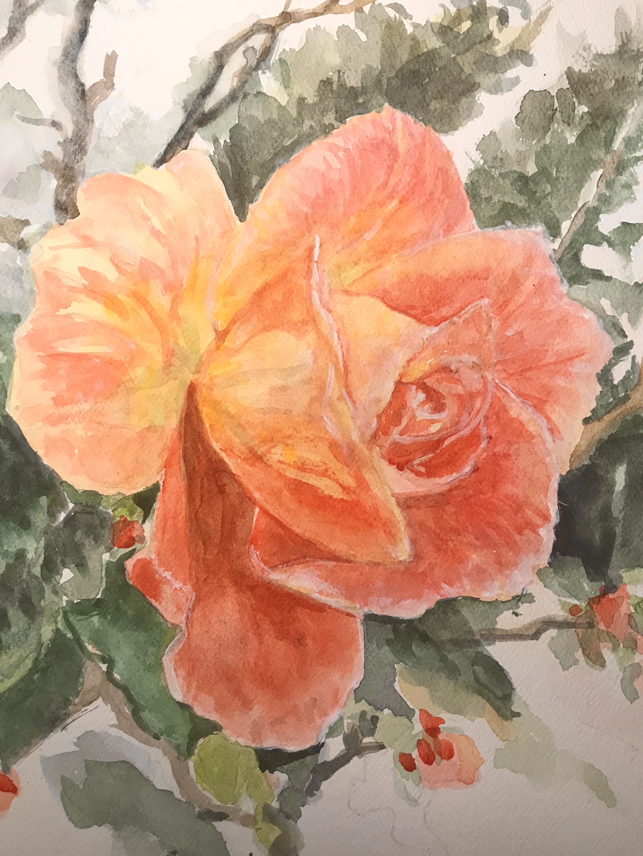 rose