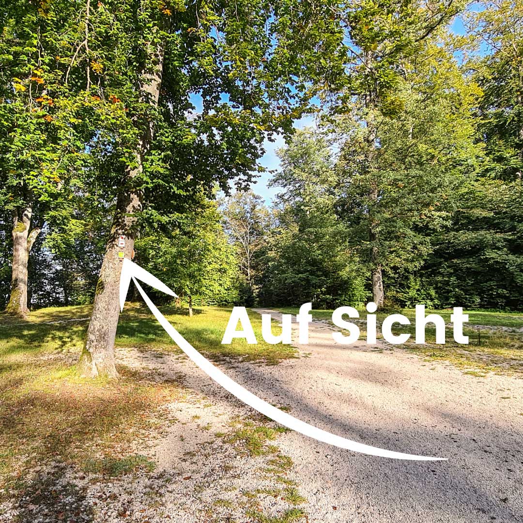 Damit der Wanderer die Wegemarken rechtzeitig sehen kann, werden sie schräg in Richtung des Wanderweges angebracht. Oft am gleichen Baum in beide Richtungen.