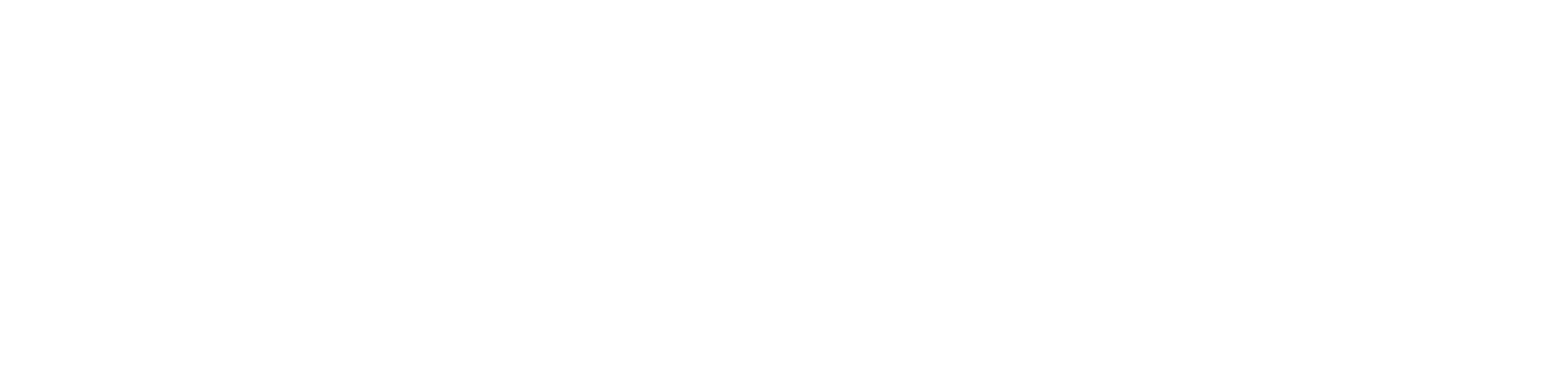lini. skinfood LOGODESIGN1