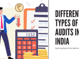 4 Common Types Of Audits Explained Forhairstyles Your Style Elevated