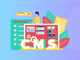 A Comprehensive Guide To Custom Cms Development