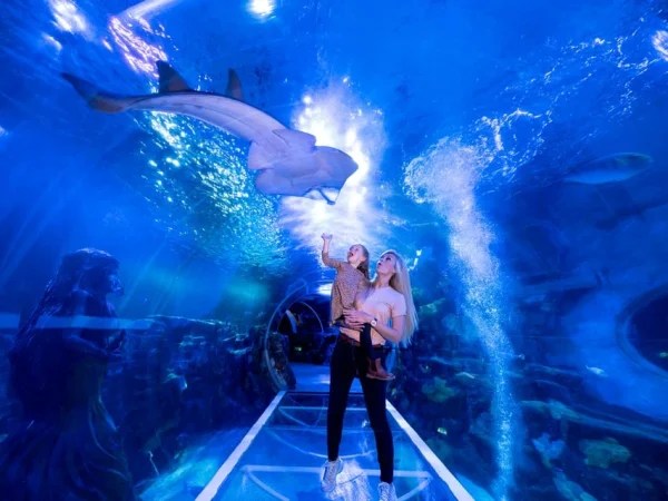 National Sea Life Centre Entrance Ticket