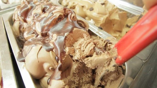 Ada Es Krim Dibuat dari Belatung Lalat di Afrika Selatan | Link Sulsel