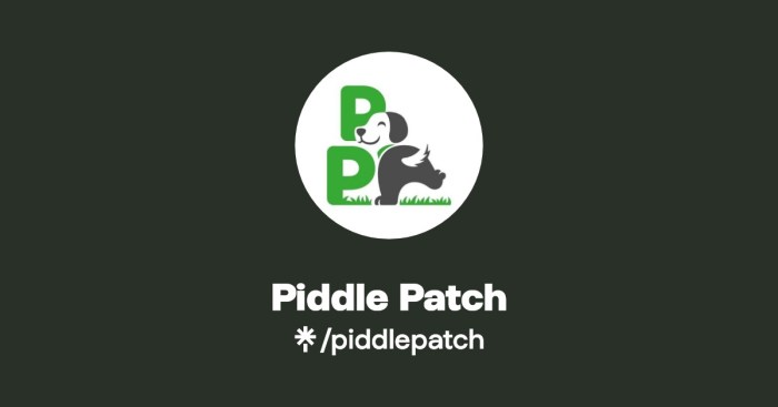 Piddle patch net worth 2022