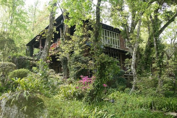 【親子遊】新竹~六號花園+大山北月景觀餐廳