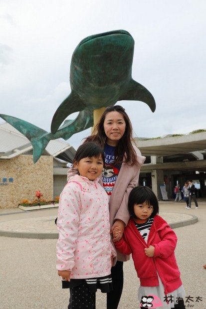 【親子遊】沖繩～逛不膩的美麗海水族館