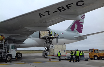 Leveraging its world-class product QR Live, Qatar Airways Cargo transported over 2,300 horses in the past 12 months.