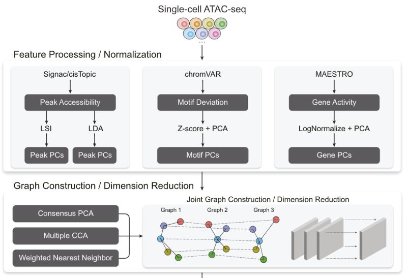 Linnykos Github - Download Ultra HD Nature Texture | Desktop
