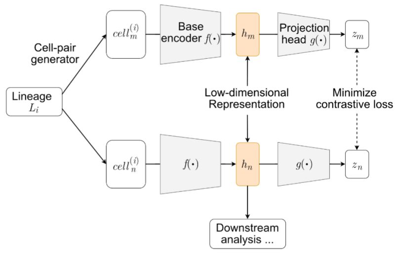 Github Linnykos Customsimulator - Premium Sunset Pattern Gallery - 8K