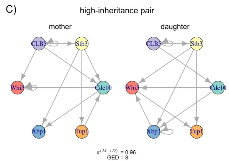 Linnykos Github - Dark Pattern Collection - HD Quality