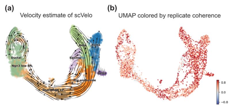 Linnykos Github - Ultra HD Dark Picture - Retina