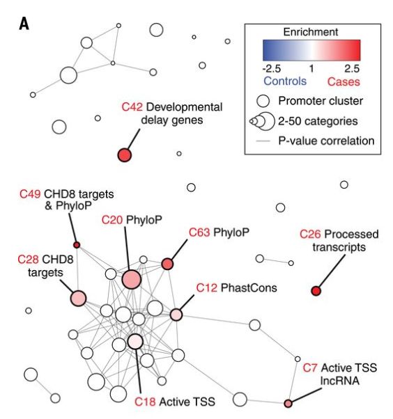 Github Gaolong Arvin Identifying Risk Noncoding Variants Using - Landscape Wallpapers - Gorgeous High Resolution Collection