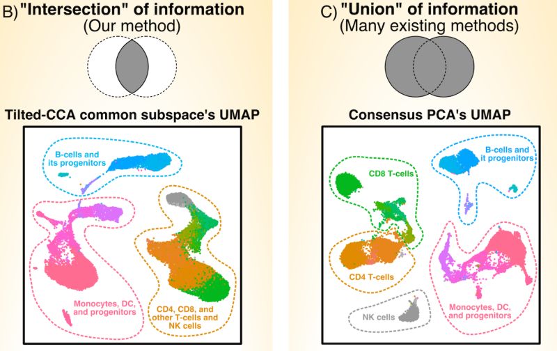 Linnykos Github - City Designs - Stunning Mobile Collection