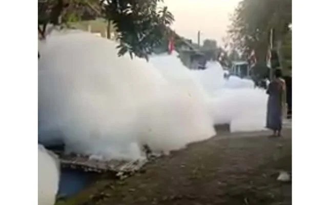 Desa Wonosari, Kecamatan Gempol, Kabupaten Pasuruan Berbusa