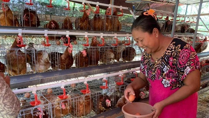 Program Gayatri Pemkab Bojonegoro. Sumber foto: www.detik.com