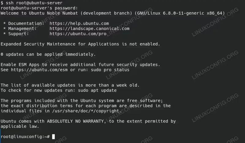 Enable Root Login Over Ssh In Linux Brace Coder - Premium Colorful Illustration Gallery - Desktop