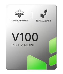 Server-class 46-core RISC-V CPU runs mainstream Linux