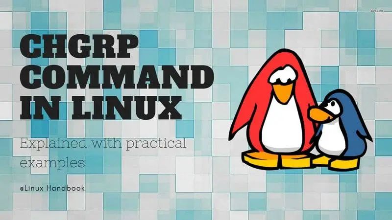 Linux Chgrp Command With Practical Examples Labex - Modern Nature Image - Desktop
