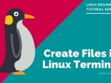 How To Create A Text File In Linux Terminal 4 Methods