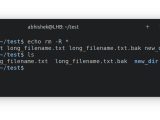 Echo Command In Linux 7 Practical Examples