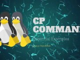 How To Copy Files In Linux With Cp Command