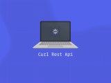 Using Curl To Make Rest Api Requests Linuxize