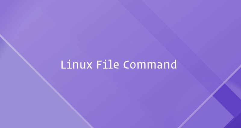 Linux Which Command Linuxize - Download Modern Nature Photo | 4K