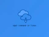 Wget Command In Linux With Examples Linuxize