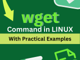The Wget Command In Linux 14 Practical Examples