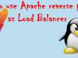 How To Use Apache Reverse Proxy As Load Balancer Linuxtechlab