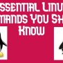 Essential Linux Commands You Should Know - LinuxTechLab