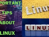 Important Tips About Linux Linuxtechlab