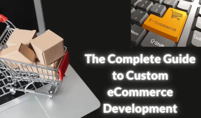 The Complete Guide To Custom Ecommerce Development Linuxtechlab - Professional Space Picture - Mobile