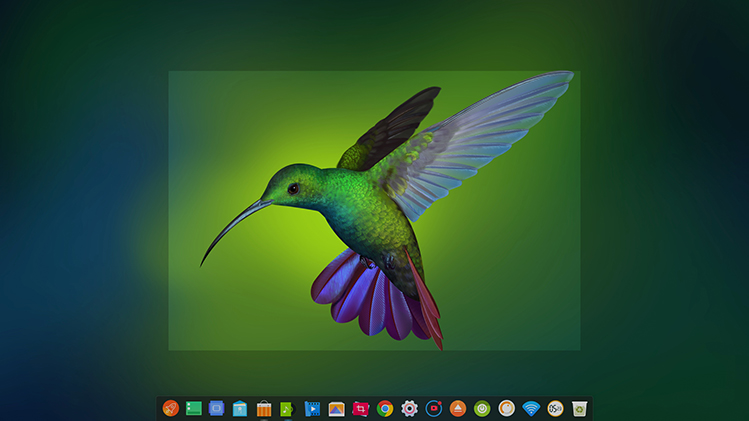 deepin screen recorder