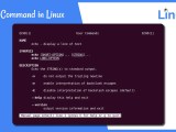 Beginners Guide For Echo Command In Linux