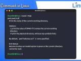 Beginners Guide For Pwd Command In Linux