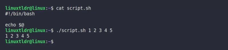 List Of Special Parameters In Bash With Examples - Stunning Gradient Photo - High Resolution
