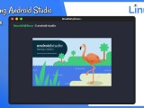 Complete Guide To Install Android Studio On Linux