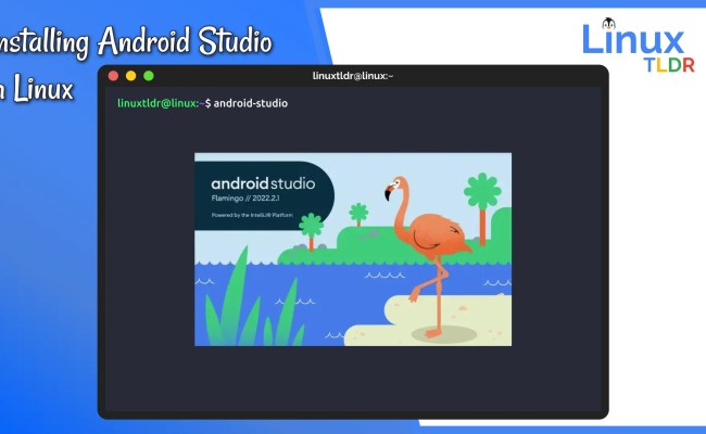 Complete Guide To Install Android Studio On Linux